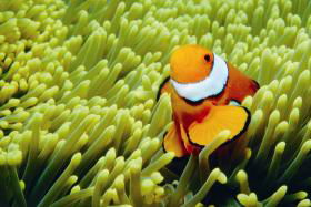 Cairns QLD Tourism Gold Coast