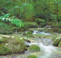 Mossman Gorge Daintree National Park - Tourism Gold Coast
