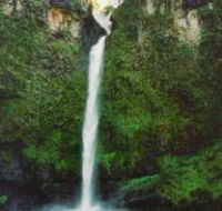 Nandroya Falls Circuit Track Wooroonooran National Park - Tourism Gold Coast