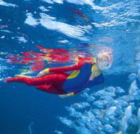 Great Detached Reef Dive Site - Tourism Gold Coast
