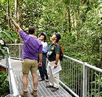 Daintree Discovery Centre - Tourism Gold Coast