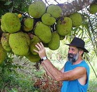 Cape Trib Exotic Fruit Farm - Tourism Gold Coast