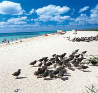 Michaelmas and Upolo Cays National Park - Tourism Gold Coast