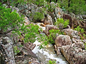 Crows Nest National Park - Tourism Gold Coast 0