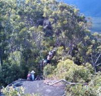 Mia Mia State Forest - Gold Coast