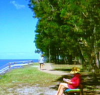 Melaleuca Track - Tourism Gold Coast