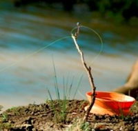 Charleville - Mangalore Warrego River Fishing Spot - Tourism Gold Coast