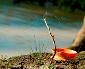 Charleville - Mangalore Warrego River Fishing Spot - Tourism Gold Coast 0