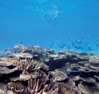 Australian Institute of Marine Science - Gold Coast