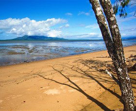 Lumholtz QLD Tourism Gold Coast