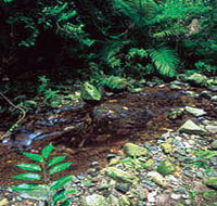 Wompoo Walk - Tourism Gold Coast