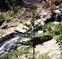 Banksia Track and the Boardwalk - Tourism Gold Coast
