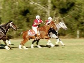 Morgan Park - Tourism Gold Coast 0