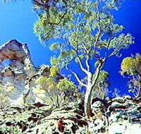 Mount Moffatt Section - Carnarvon National Park - Tourism Gold Coast