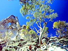 Mount Moffatt Section - Carnarvon National Park - Tourism Gold Coast 0