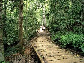 Peeramon QLD Gold Coast