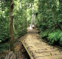 Lake Barrine Circuit Track Crater Lakes National Park - Gold Coast