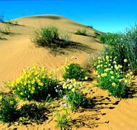 Simpson Desert National Park - Tourism Gold Coast