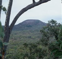 Mount Fox - Gold Coast