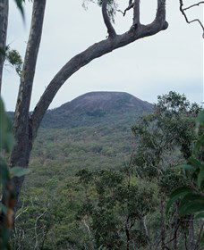 Mount Fox - Gold Coast 0
