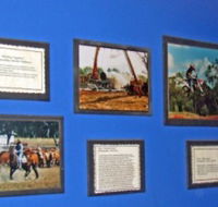 Town Hall Photographic Display - Tourism Gold Coast