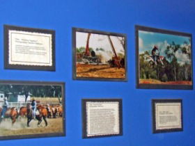 Town Hall Photographic Display - Tourism Gold Coast 0