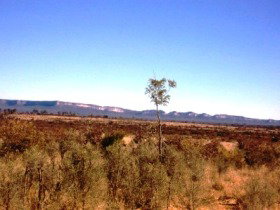 Tambos Wilderness Way - Tourism Gold Coast 0
