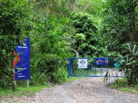 Carrington QLD Tourism Gold Coast