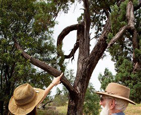 Charleville - Outback Native Timber Walk - Tourism Gold Coast 0