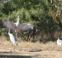 Bulloo River Walk - Tourism Gold Coast