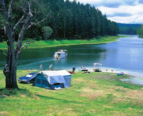 Danbulla National Park And Danbulla State Forest - Tourism Gold Coast 0