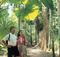 Licuala State Forest - Tourism Gold Coast