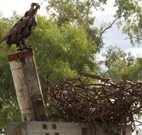 Blackall Sculpture Trail - Tourism Gold Coast