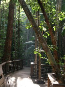 Basin Lake Track - Gold Coast 0