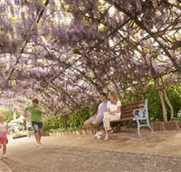 Laurel Bank Park - Tourism Gold Coast