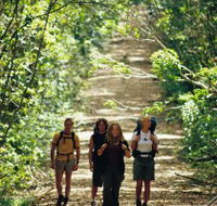 Wet Tropics Great Walk - Gold Coast