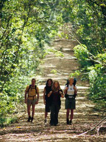 Wet Tropics Great Walk - Tourism Gold Coast 0