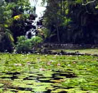 Queens Park Waterfall - Tourism Gold Coast
