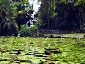 Queens Park Waterfall - Tourism Gold Coast 0