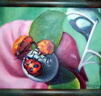 Kingaroy Shire Art Gallery - Gold Coast