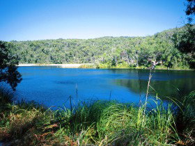 Karboora Track - Tourism Gold Coast 0
