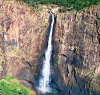 Buujan Quiinbiira Walk Wet Tropics Great Walk - Gold Coast