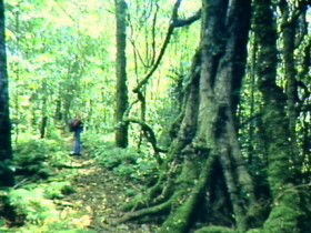 Milora QLD Gold Coast