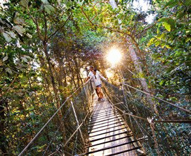 Tree Top Walkway - Gold Coast 0