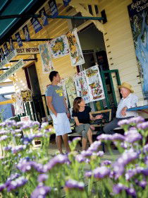 Alpha Petrified Wood - Tourism Gold Coast 0
