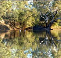 Welford National Park - Tourism Gold Coast