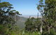 Zamia Walk - thumb 0