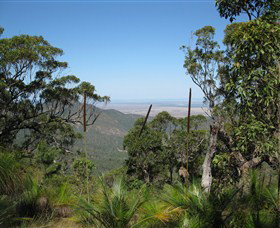 Zamia Walk - Tourism Gold Coast 0
