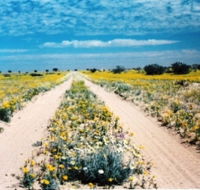 Birdsville Track - Tourism Gold Coast