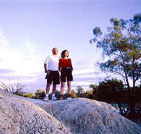 Mud Springs - Tourism Gold Coast